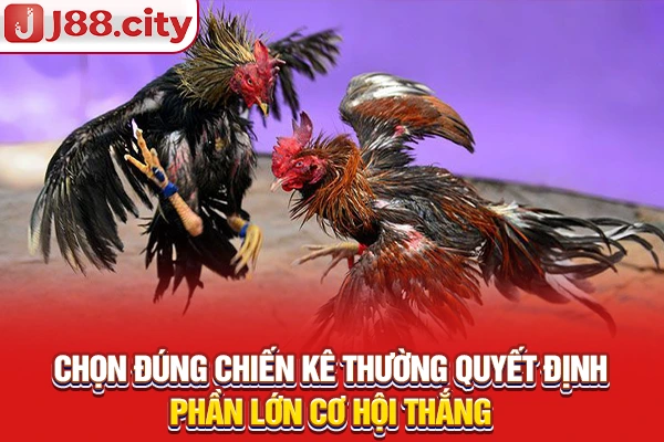 Chọn đúng chiến kê thường quyết định phần lớn cơ hội thắng